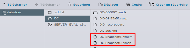 snapshot files